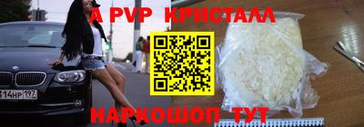 ALPHA PVP Гай