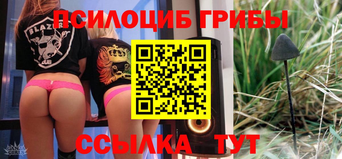 Псилоцибиновые грибы MAGIC MUSHROOMS  Вход с VPN  Псилоцибиновые грибы Magic Shrooms  Белорецк 